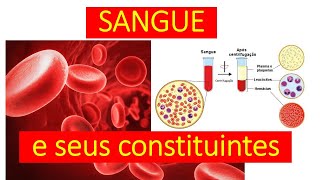 Aprenda tudo sobre o sangue e seus constituintes [upl. by Hueston]