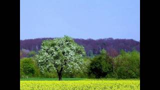 manfred krug stell die sorgen in die eckewmv [upl. by Quintie]