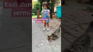 Adanın dondurması duşta bakın kim yedi🐱😂🍨🍦dondurma kedi hayvanlar shorts [upl. by Adlecirg]