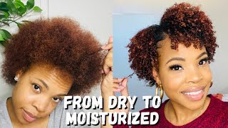 How to moisturize  DRY Natural Hair  Easy wash amp go beginner friendly  part 1 [upl. by Eelimaj]