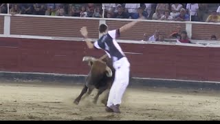 Concurso de Recortes con Toros en San Sebastian de los Reyes 2014 [upl. by Ermentrude384]