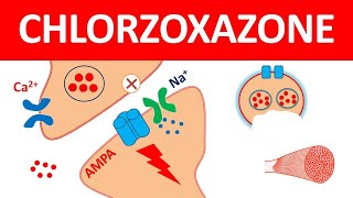 Chlorzoxazone as central muscle relaxant [upl. by Anaile]