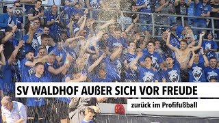 SV Waldhof außer sich vor Freude  RON TV [upl. by Pitarys794]