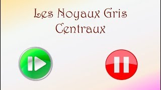 Neurofacile 7  Les noyaux gris centraux [upl. by Main810]