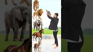 Wild Animals To Wild Animals names Talking shorts mmmrazz funny comedy [upl. by Lindeberg]