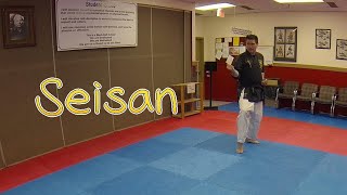 Learn Karate Seisan karate karatekata seisan [upl. by Eppie938]