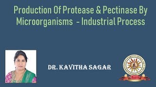 industrial production pectinase and protease production [upl. by Ahsaeit]