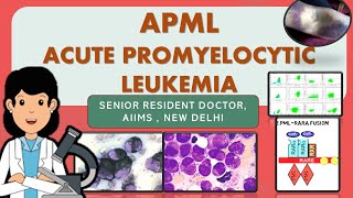 APML  PML RARA fusion Acute Promyelocytic Leukemia  Rapid review [upl. by Nylacaj550]