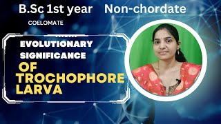 Evolutionary Significance Of Trochophore Larva Bsc 1st yearStructure of Trochophore Larvagnb [upl. by Calia]