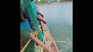 Back to Back Rabbit fish fishing in Harbour [upl. by Donaghue]