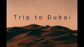 Trip To Dubai deephouse mix by Rosetta D33P [upl. by Franck10]