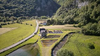 Présentation de lunité Nutrition métabolisme aquaculture NuMéA [upl. by Aitnohs996]