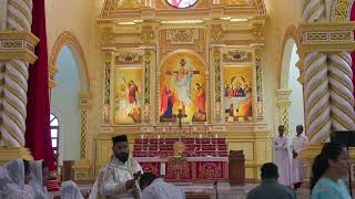 Holy Mass Live  November 24 2024  St Thomas Orthodox Syrian Church Sastan [upl. by Zerimar511]