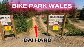 Bike Park Wales 24  Dai Hard into Willy Waver [upl. by Randy]