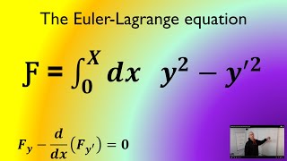 Euler Lagrange Equation to Solve a Functional [upl. by Masha851]