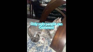 Only ugly people can comment [upl. by Nayar]