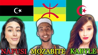 Can Kabyle Nafusi amp Mozabite Amazighs Berbers Understand Each Other [upl. by Airun]