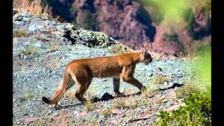 Horsethief Trail Hike With Grandsons 9192015 [upl. by Esnahc]