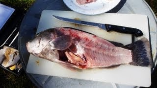 How to Fillet a Fish quick and easy way [upl. by Araid]