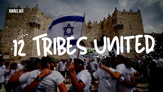 Twelve Tribes United by Y Katz and B Stark [upl. by Anival390]