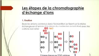 Chromatographie déchange dions [upl. by Inger]