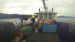 Crayfishing West coast Tasmania [upl. by Tanberg]