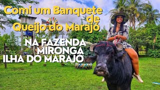 TUDO SOBRE FAZENDA MIRONGA  4⁰DIA EXPEDIÇÃO BELÉMILHA DO MARAJÓ [upl. by Barabas]