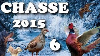 CHASSE PETIT GIBIER 2015 6 CALIBRE 28 PHEASANT HUNTINGCACCIA SELVAGGINACAZA MENOR [upl. by Namsu]