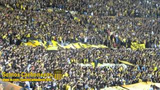 quotSoy del Carbonero si señorquot  quotManya sos mi locuraquot  Copa Libertadores 2013  Peñarol 01 Vélez [upl. by Aitsirt874]