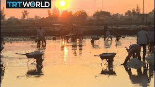 Vietnam Salt Workers Farmers adapting to climate change [upl. by Macguiness]