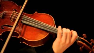 Johannes Brahms Sonata in E flat major for Viola and Piano Op 120 2 Mvt 1 [upl. by Odin]