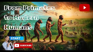 Journey of Human Evolution From Primates to Modern Humans [upl. by Mcquillin]