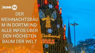 Der Weihnachtsbaum in Dortmund Alle Infos über den höchsten Weihnachtsbaum der Welt [upl. by Ahsein815]