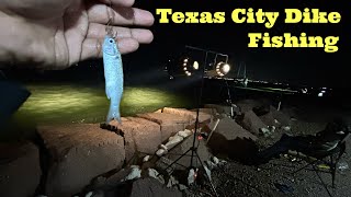 PITCHING live Finger Mullet For some a SPECKLED TORUT Texas City Dike [upl. by Sakovich]