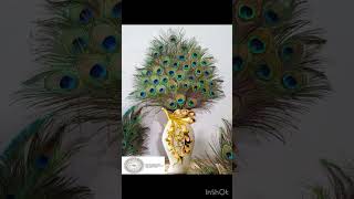 Easy Simple Peacock Vase Wall Decoration 🦚 subscribe viralvideo shorts decoration [upl. by Oskar952]