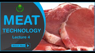 Post Mortem Changes In Meat  Meat Technology Lecture 4  Mehwish Zarlasht [upl. by Aisenat]