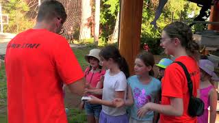 Camp Homewood Harbour Camp Highlights 2024 [upl. by Aruat]