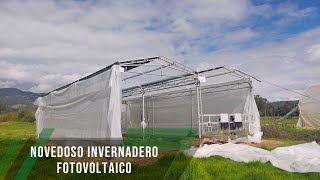 Novedoso invernadero fotovoltaico  TvAgro por Juan Gonzalo Angel Restrepo [upl. by Freed]