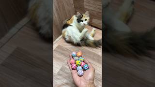 Sim sim ball reverse satisfying reversevideo shorts cat [upl. by Cobb]