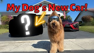 I Bought My Dog His DREAM Car [upl. by Yraunaj866]