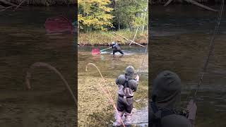 Catching King Salmon fishing freshwaterfish kingsalmon salmonrun salmon michigan fish [upl. by Taro]