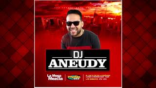 DJ Aneudy  MERENGUE TIPICO DERECHO MIX 2019 [upl. by Doxia949]