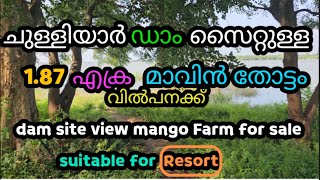 mango farm for sale Chulliyar Dam Palakkad Dt [upl. by Anerdna]