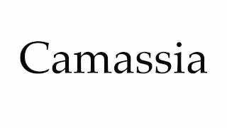 How to Pronounce Camassia [upl. by Aenaj]