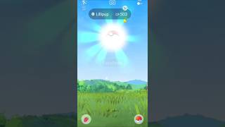 I caught shiny Pokemon while using quotDAILY INSANCEquot [upl. by Arotak39]