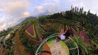 Exploring the Blooms at Buwakan ni Alejandra  Cebus Mountain Garden Getaway [upl. by Grantham]