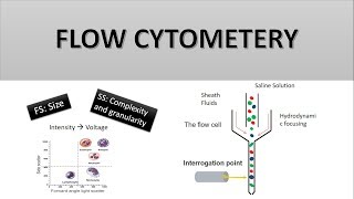 The Principle of Flow Cytometry and FACS 1 Flow Cytometry [upl. by Nonnahs]