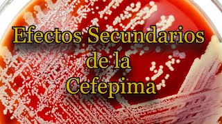 Efectos Secundarios de la Cefepima [upl. by Magnus224]