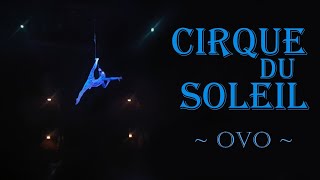 Cirque du soleil  Ovo [upl. by Whallon]