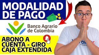 Modalidad de PAGOS del Banco Agrario de Colombia en Renta Ciudadana y Devolución del IVA 2024 [upl. by Nerraj407]